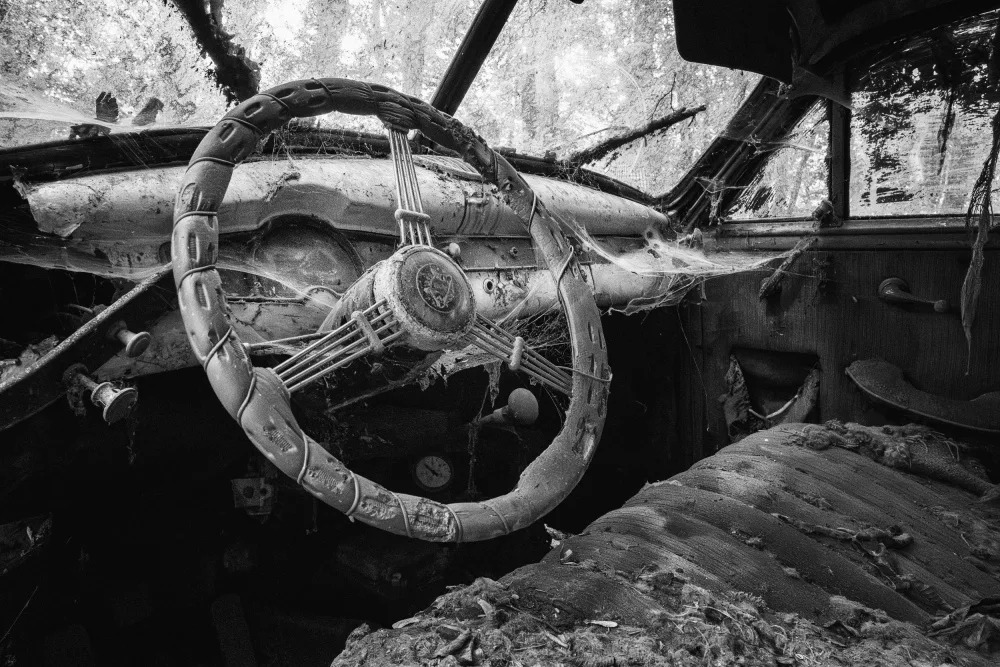 Dauria, Adam: Dead Machines