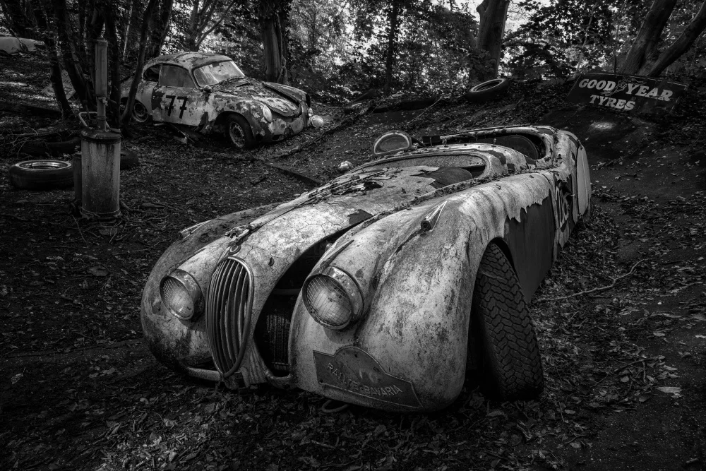 Dauria, Adam: Dead Machines