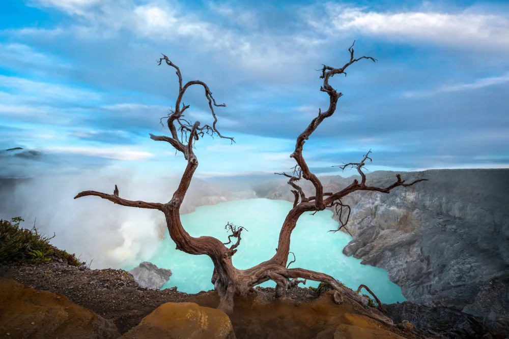 Wu, Irene: Gunung Bromo