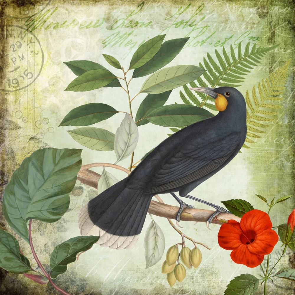 Haase, Andrea: Giardino degli uccelli