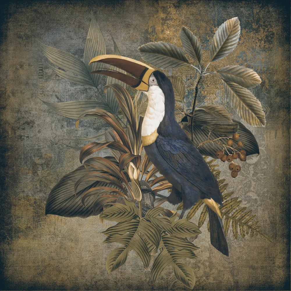 Haase, Andrea: Toucans 2