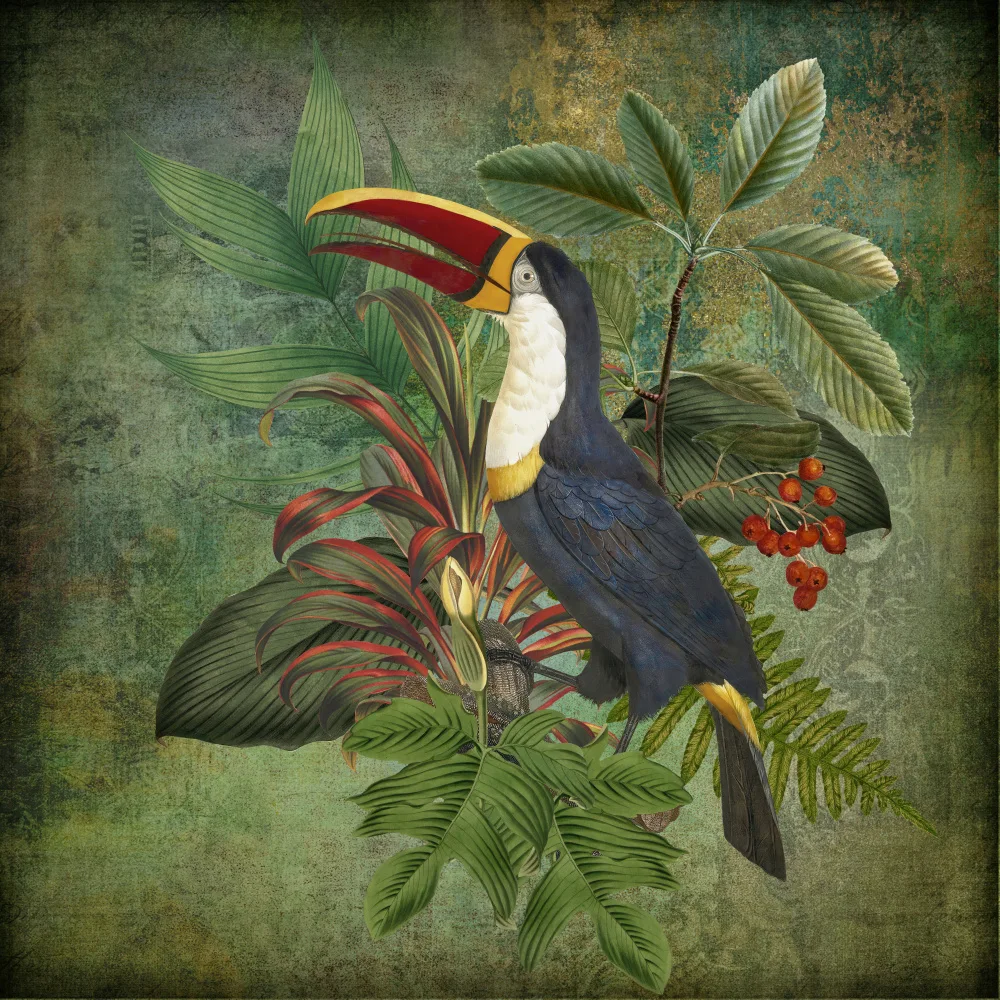 Haase, Andrea: Tucano