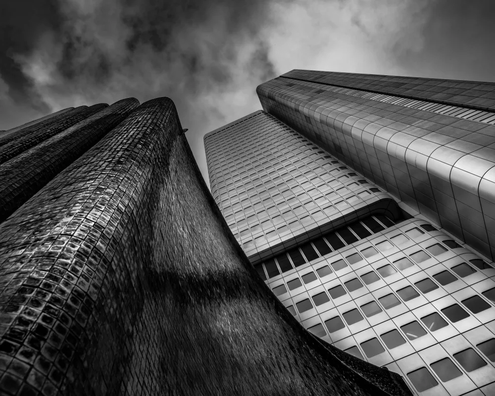 Denijs, Wim: Towers