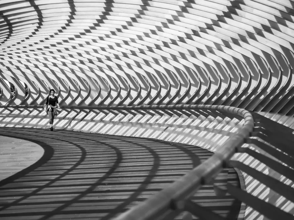 Navea, Alberto: PUENTE DE ESCAMA