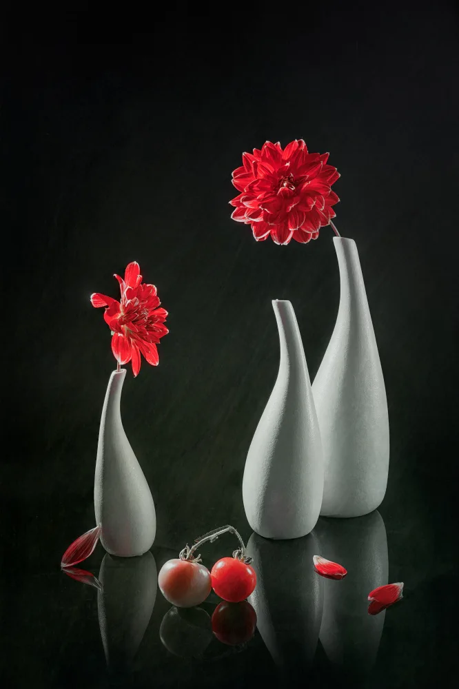 Jacobs, Lydia: Red Dahlia & Tomatoes