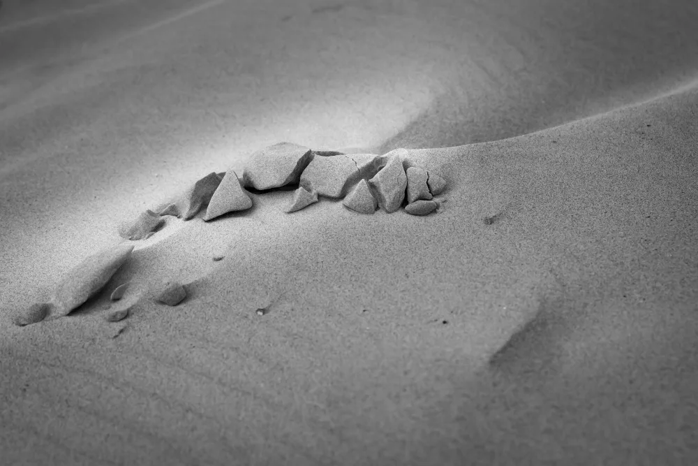Son, van Greetje: Art de sable
