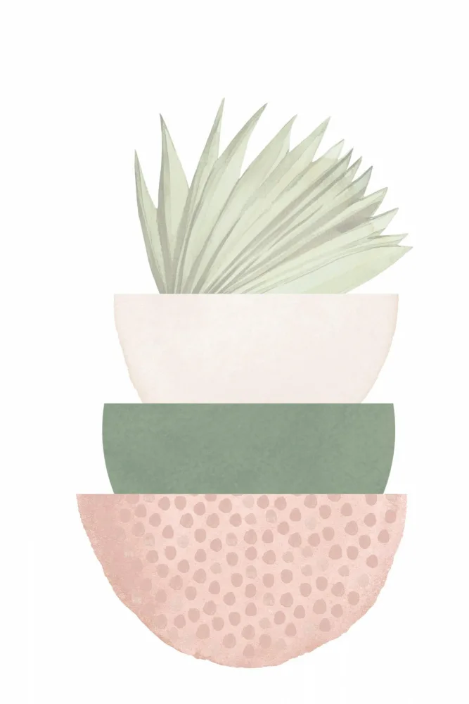 Moss, Ann Sally: Salbeirosa 2