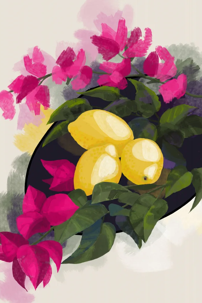 Blursbyai, Laiz Rosana: Bougainvillea a citrony