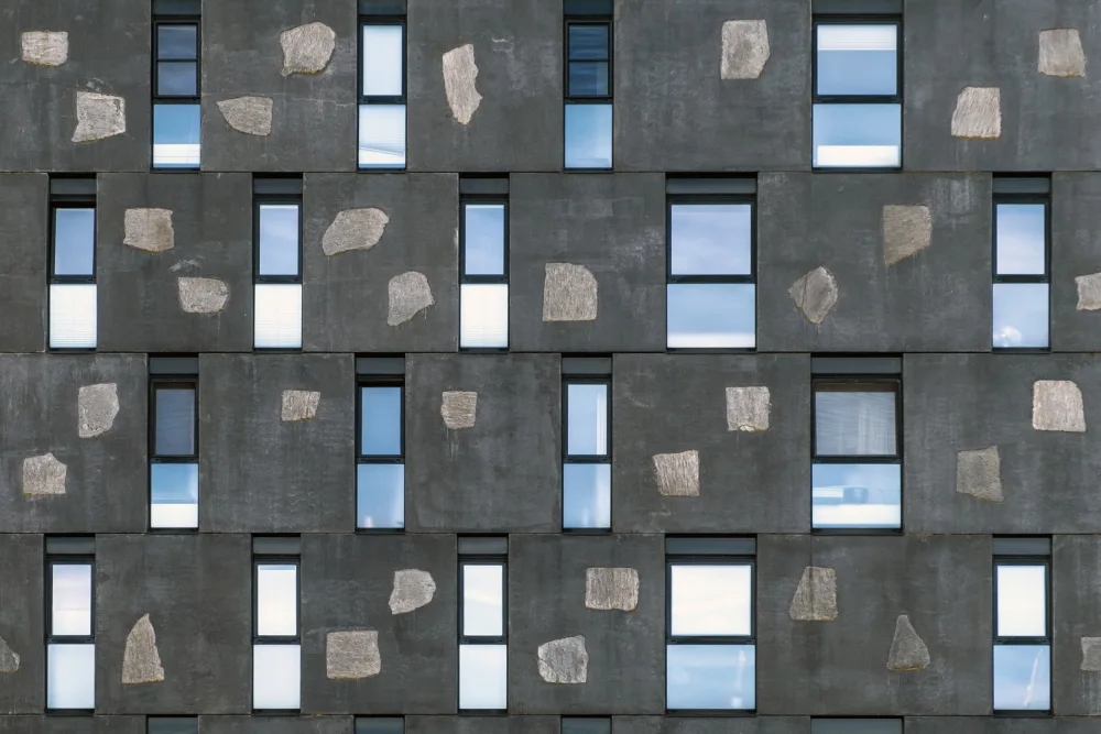 Joosten, Lus: Mur tacheté