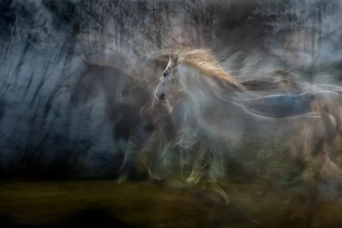 Malovrh, Milan: Echoinf of light