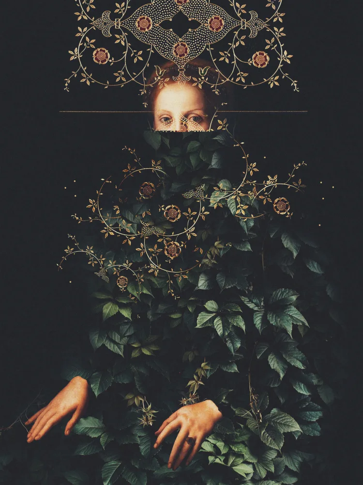 Moth, Frank: Patience II by Frank Moth