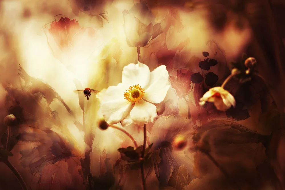 Deelen, van Ellen: Summertime...