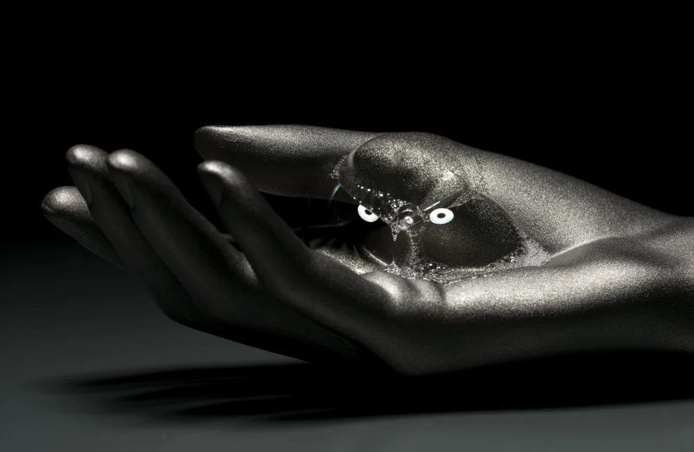 Hotakainen, Jani: Hand