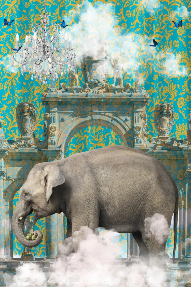 Skellern, Sue: Elephant Adventures