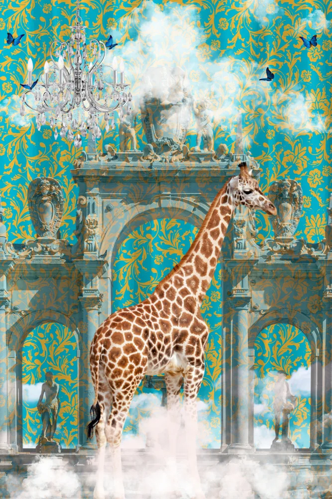 Skellern, Sue: Giraffe Adventures