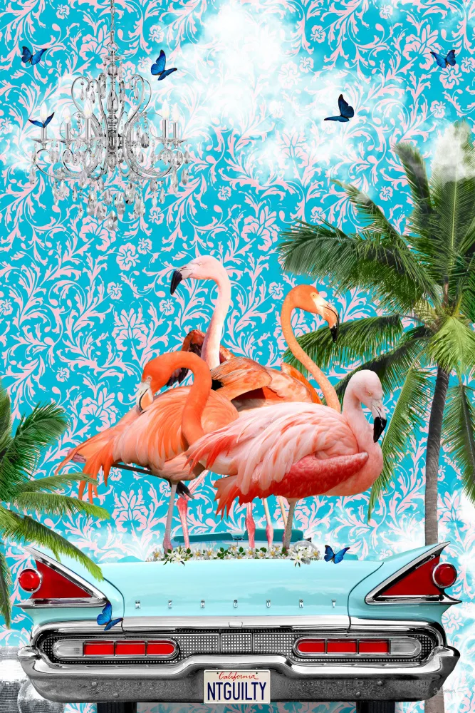 Skellern, Sue: Flamboyance California Dream