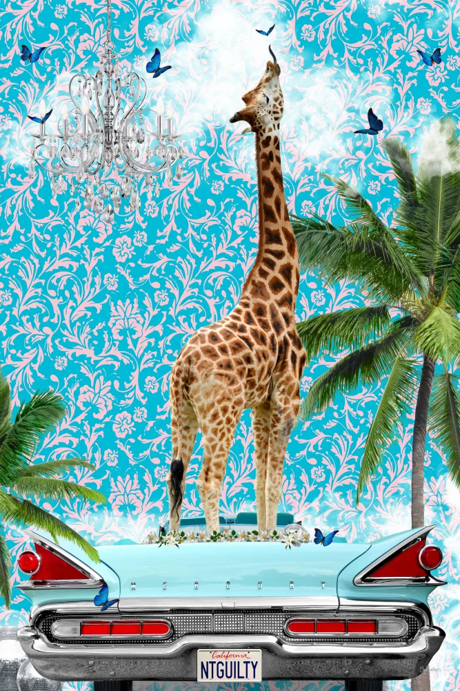 Skellern, Sue: Giraffe California Dream