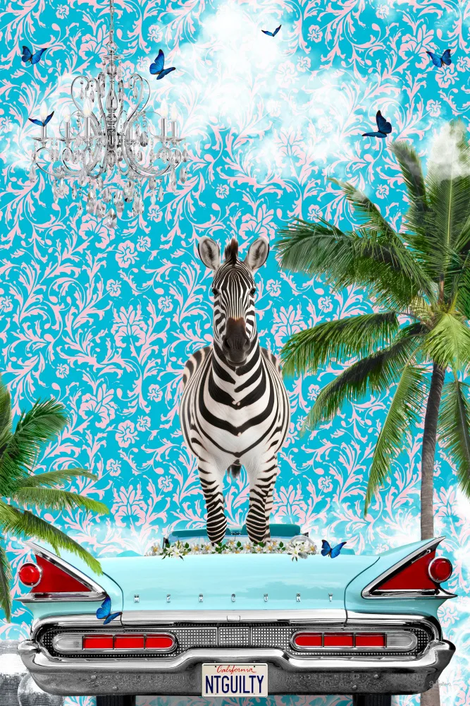Skellern, Sue: Zebra California Dream