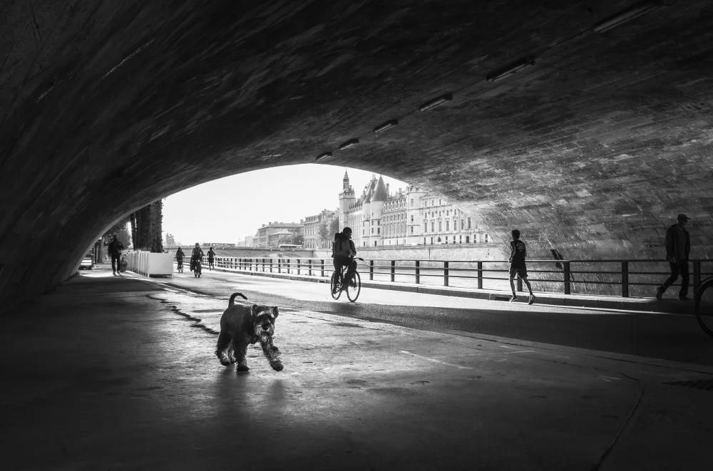 Prioteasa, Sebastian: Caminata matutina
