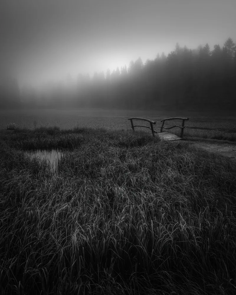 Franzoni, de Thomas: Intrecciato nel dolore