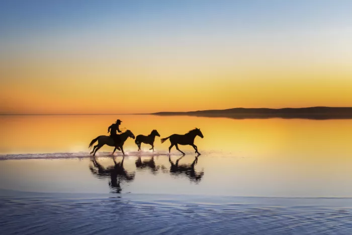 Can, Ali: gallop