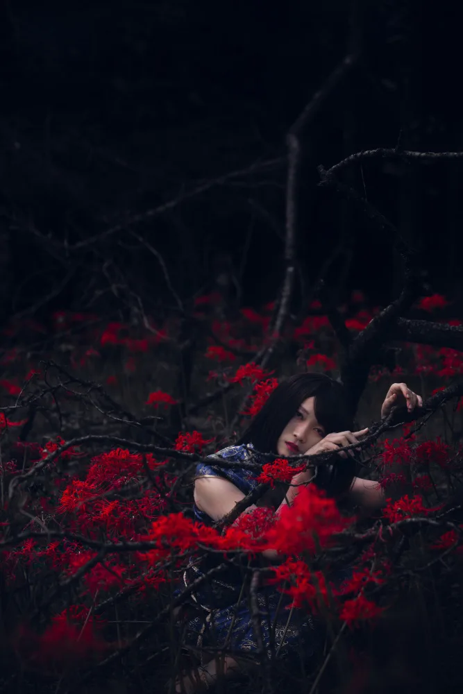 Sonokawa, Jun: Bosque profundo