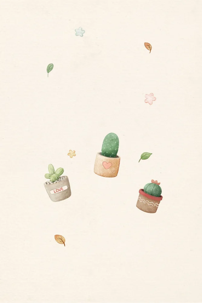 Thai, Xuan: Kaktusové rostliny Kawaii
