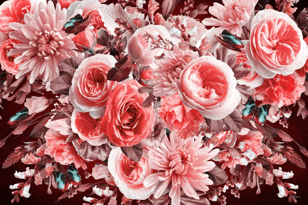 Skellern, Sue: Flores de la mañana Rafael