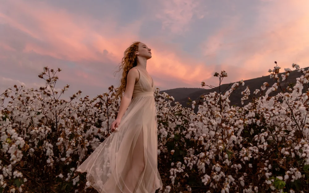 Koller, Gila: Sunset in the cotton field