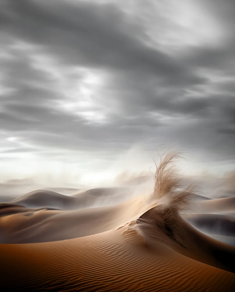 Hosam.Karara: Desert Waves