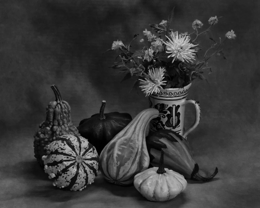 Watkins, Carmen: Cosecha de otoño
