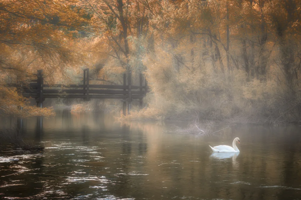 Giani, Cristiano: Foggy idyll