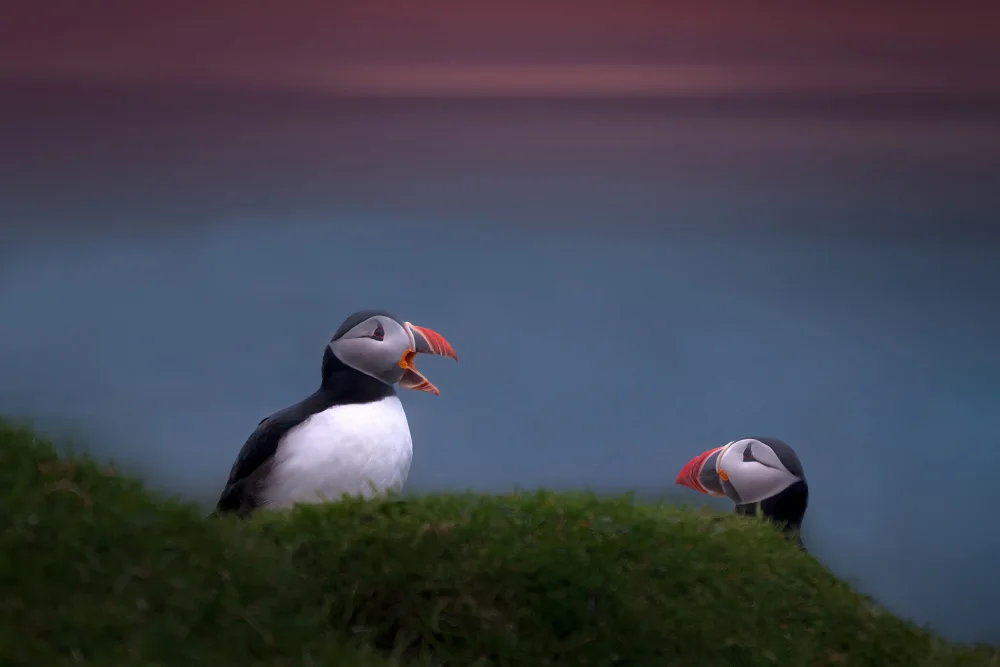 Engström, Erik: Evening chat
