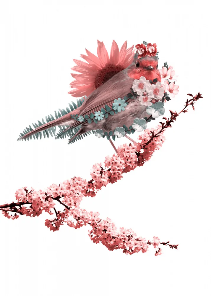 Barizi, Al: Blooming Bird