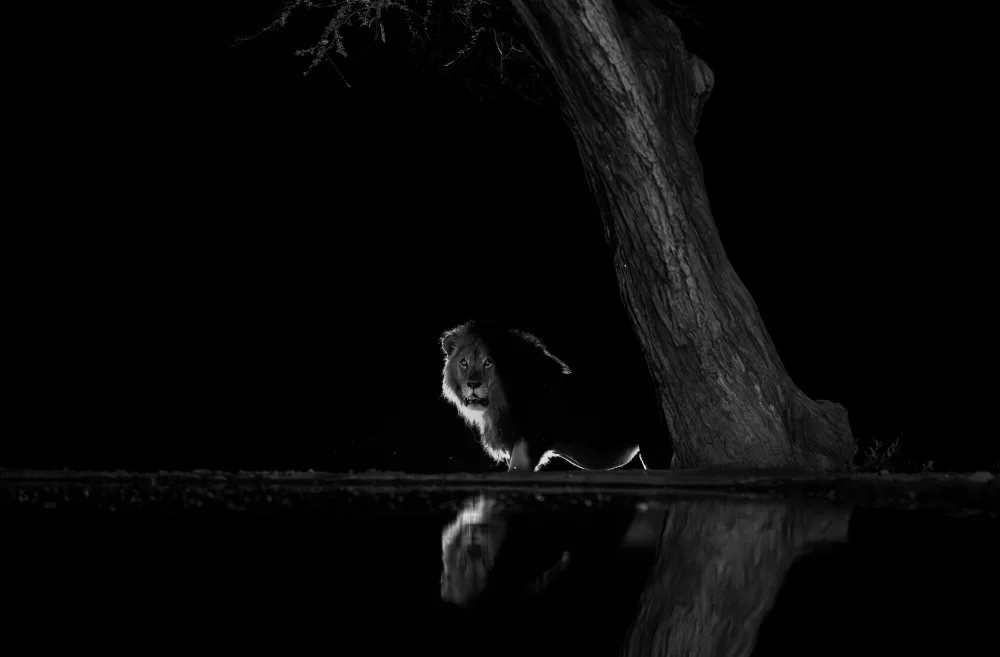 LI, MIN: En la noche