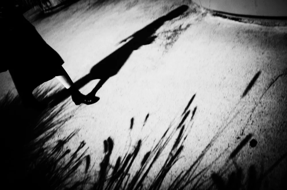 Choi, Young Mi: Autumn Shadows