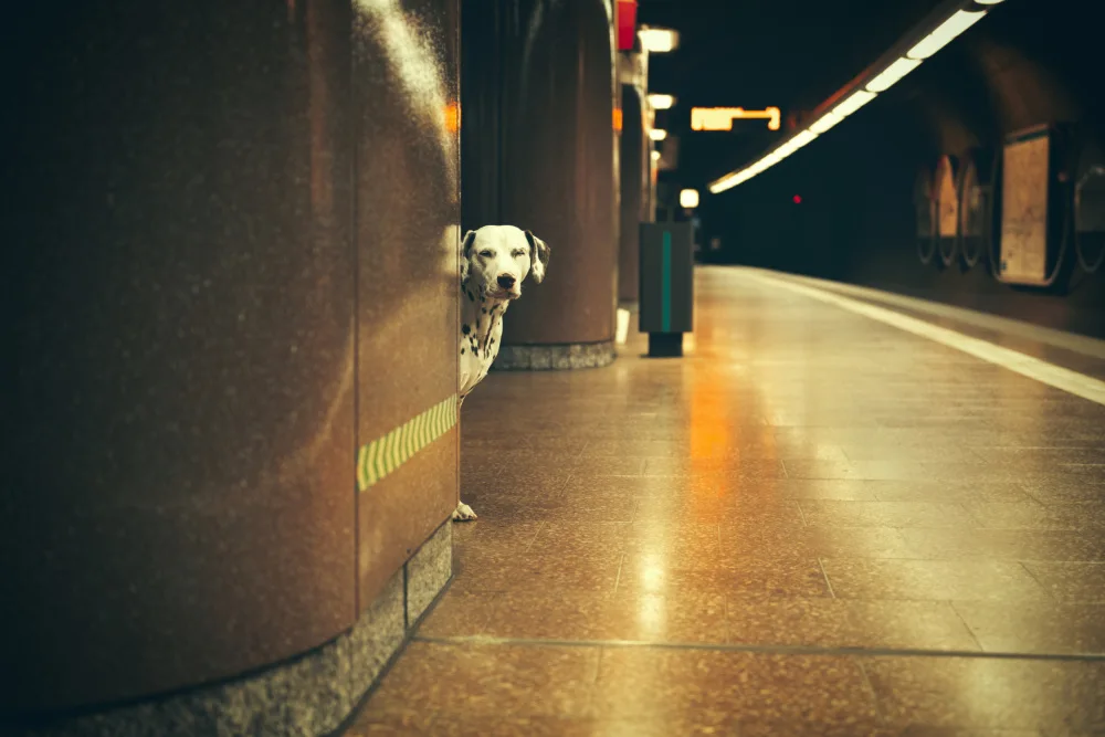 Willers, Heike: Another Monday