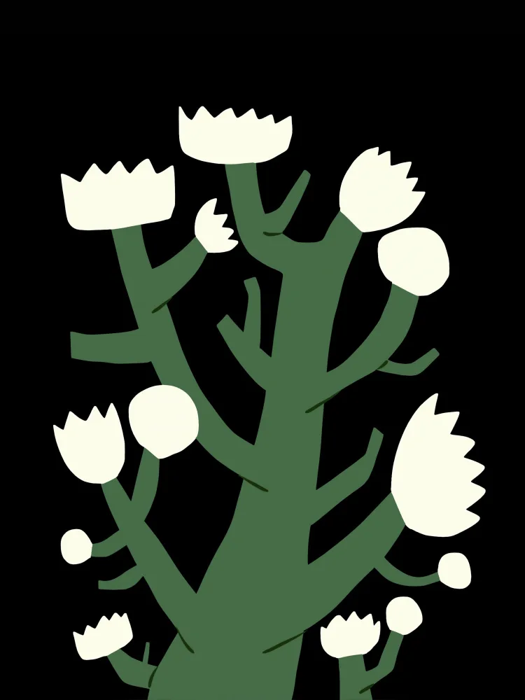 Dean, Little: White Bloom