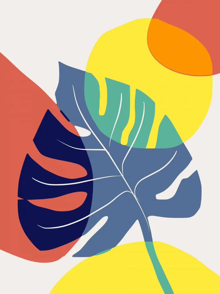 Dean, Little: Monstera In Primary