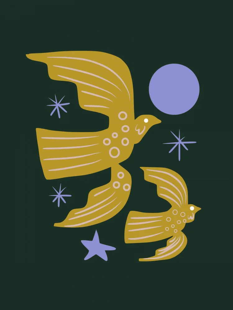 Dean, Little: Nocturnal Dove