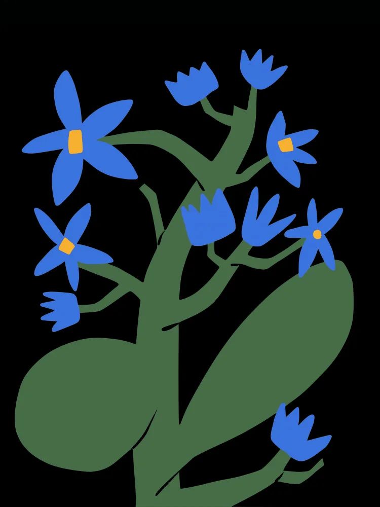 Dean, Little: Nocturnal Blue Flower