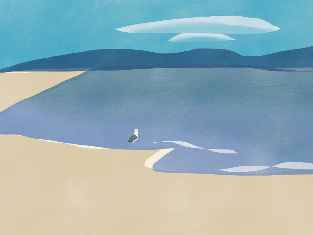 Dean, Little: Seagull Watching Distant Cloud