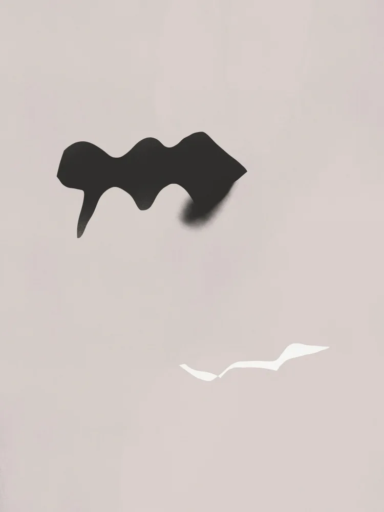 Dean, Little: Black and White Shadow