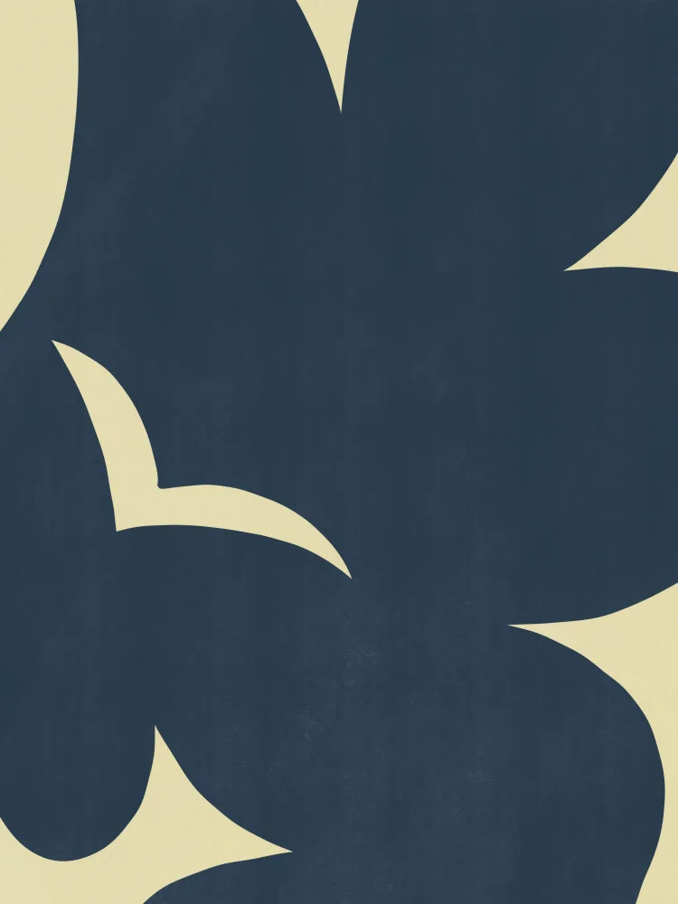 Dean, Little: Minimal Seagull Cut Out