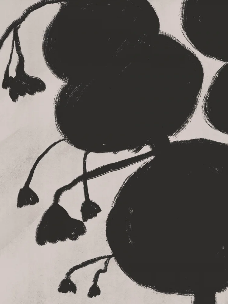 Dean, Little: Pflanzenschatten