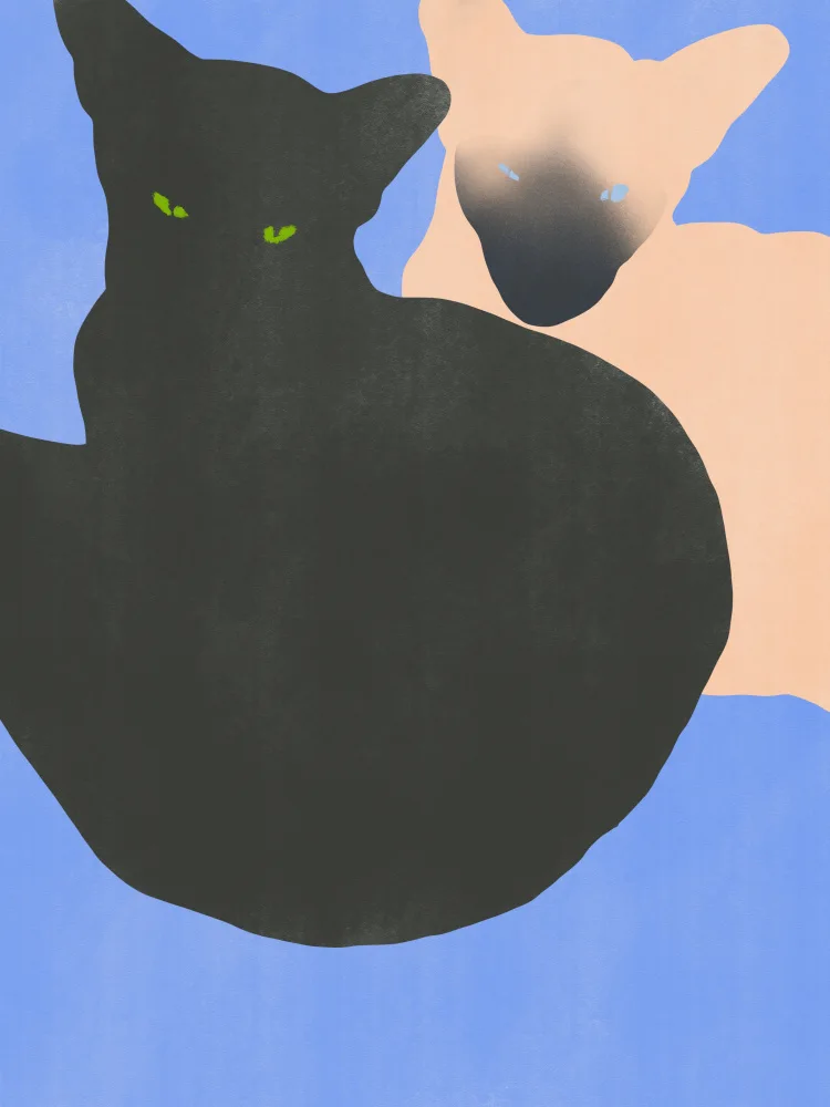 Dean, Little: Siamese Cat