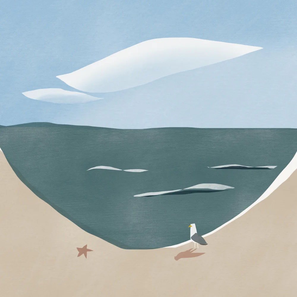 Dean, Little: Beach Curve and Seagull