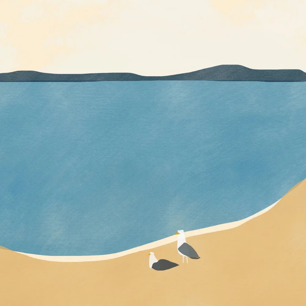 Dean, Little: Seagull Couple