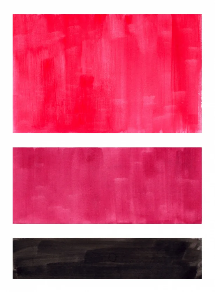 Haniff, Ejaaz: Campo de colores 57