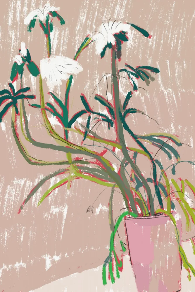 Dean, Little: Drying flower